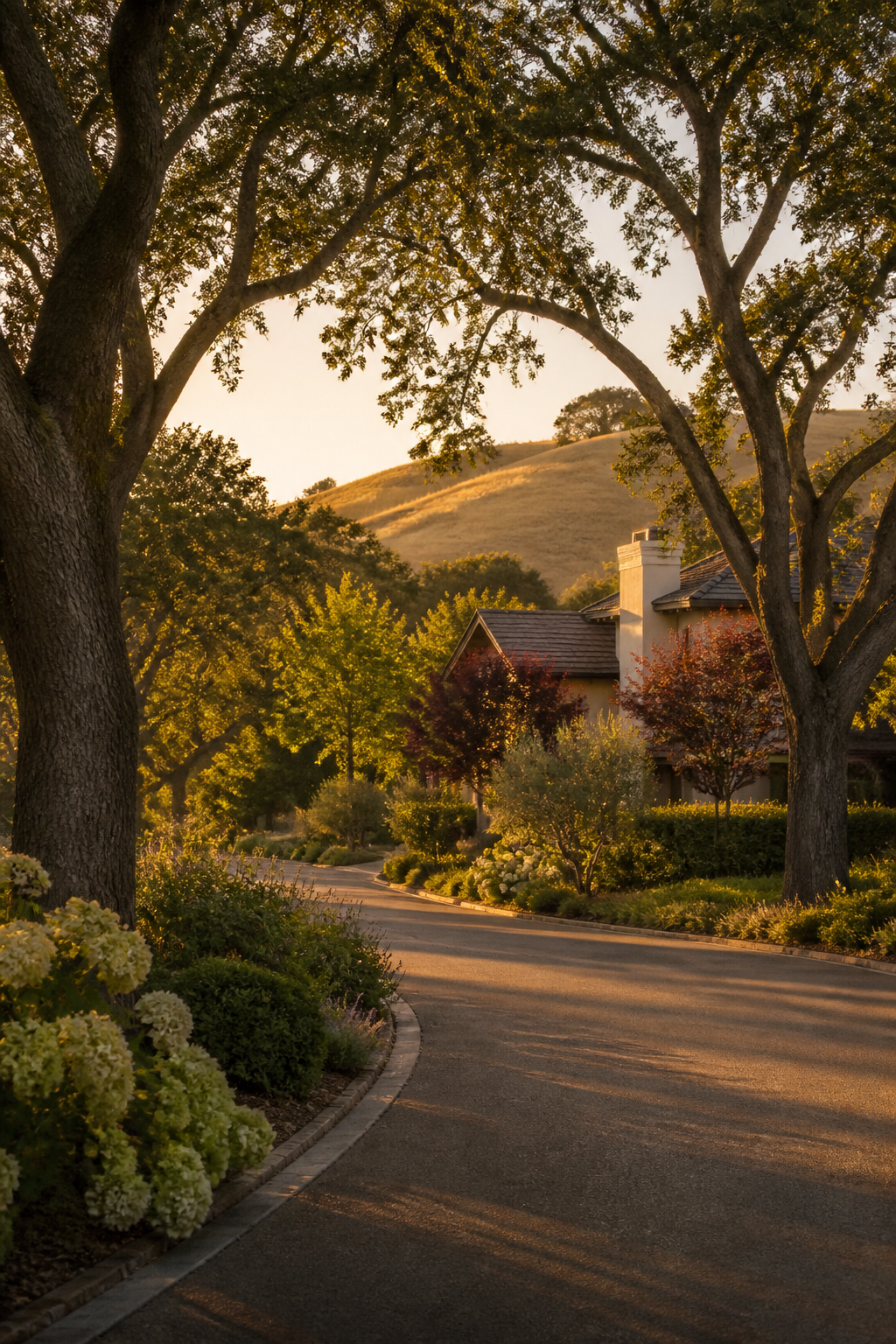 Alamo neighborhood in the Tri-Valley.